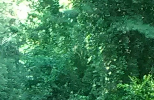 Ronda House | Blue Ridge Mountain Country Home