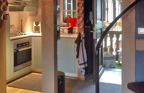 Colmar Centre Ville Apartment | Bois & Velours Équilibre Parfait Entre le Charme Alsacien et le Caractère Déco