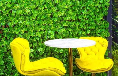 Indio House | Bomb Dot Com/Dinosaur Waterslide