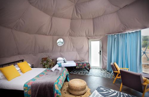 Augusta Other | Boogaloo Camp