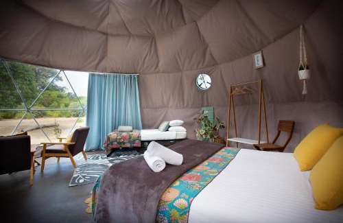 Augusta Other | Boogaloo Camp