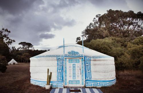 Augusta Other | Boogaloo Camp