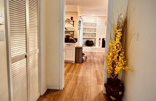 Clearwater House | Book a Paradise for your Family's Florida Vacation!