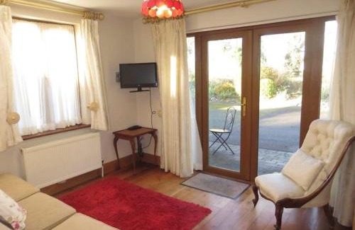 Enniscorthy Apartment | Borodino Studio Apartment