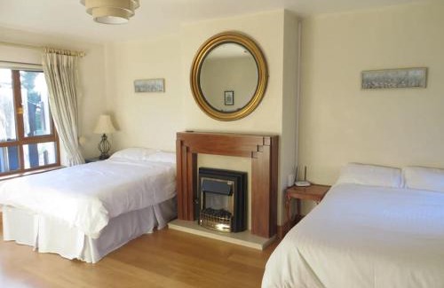 Enniscorthy Apartment | Borodino Studio Apartment