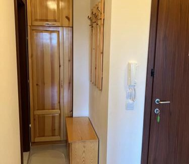 Borovets Apartment | Borovets Gardens apartment C-43