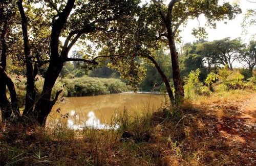 Nkowankowa House | Boschoek Farm