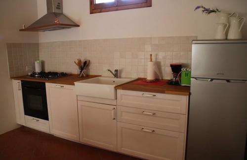 Greve in Chianti Apartment | Bosco apartment among vineyards and olive groves