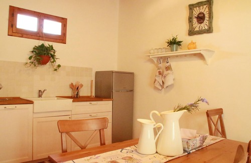 Greve in Chianti Apartment | Bosco apartment among vineyards and olive groves
