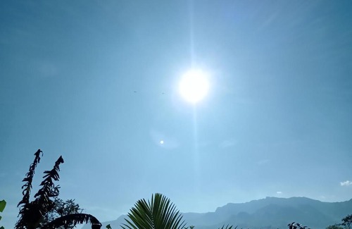 San Francisco Other | Bosque y río - Zona de camping en San francisco