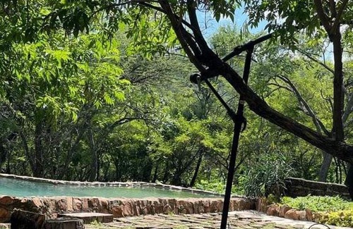 Modimolle House | Bosveldsig Cottages