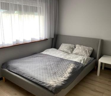 Woszakowice House | Boszkowo summer house & apartments