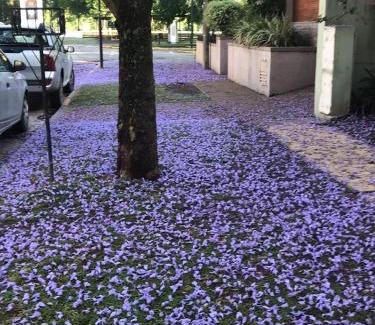 San Antonio de Areco Apartment | Boulevard Alsina 5