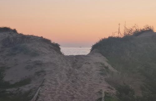 Nikki Beach Apartment | Boutique Penthouse Elviria Beachsid