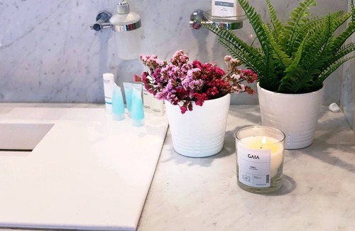 Alvaro Obregon House | Boutique Private House ★ Casa San Angel Inn