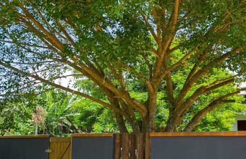 Penha Hotel | ' Casa Verde & Mar Studio '