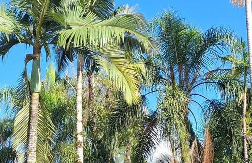 Varzea do Ranchinho Condo | Aluga-se- 1 quarto, 1 ban, .cozinha compartilhada,1 garagem p/casal ou mulher.