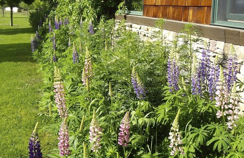 Kalispell House | BRAIDWATER, a Luxury Vacation Rental and Event Venue