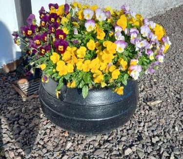 Cookstown House | Bramble Cottage