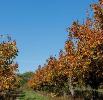 Woodbridge Apartment | Bramley Cabin Suffolk Relaxing Getaway