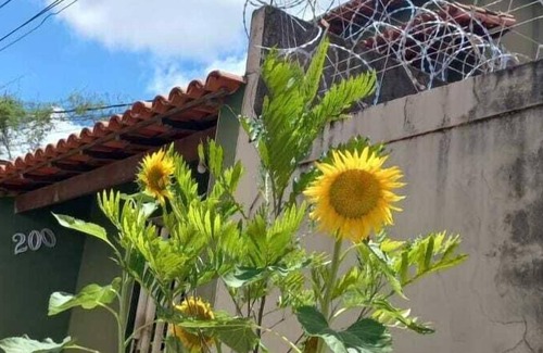 Paracatu Hotel | Brasileirinho Pousada e Refeições