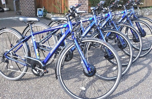 Tosashimizu Hotel | Breakfast Pets OK Smoking Japanesestyle room loft 2 beds /Tosashimizu Kōchi