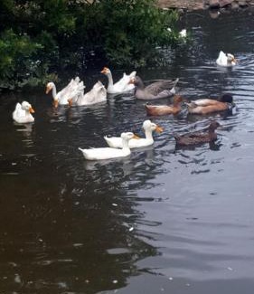 Port Beaufort Ski Chalet | Breede River Holiday Farm Malgas