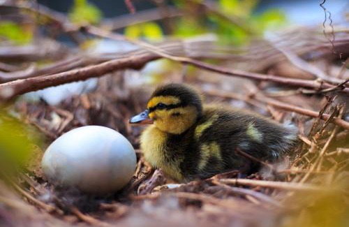 Tiverton House | Bridge Guest House