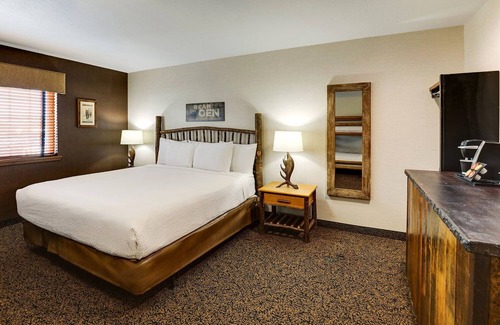 Peoria Hotel | Bringing the Pack? Expanded King Bunk Bed Suite in Stoney Creek Peoria