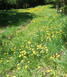 Coyhaique Apartment | Brisas del Salto