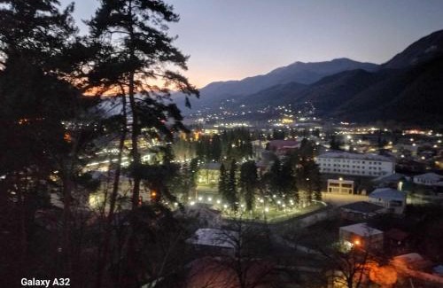 Ambrolauri Hotel | Brotseulebi