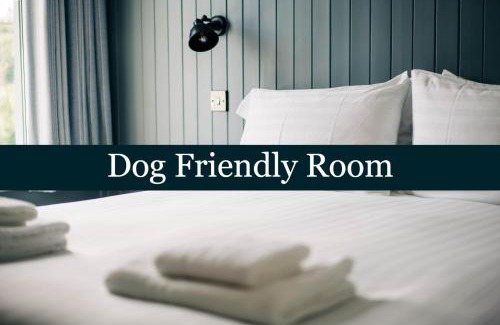 Tan-y-groes House | Bryn Berwyn Country House Tresaith