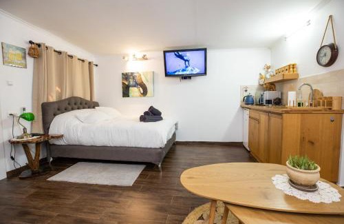 HaGoshrim Cabin | Bubas place