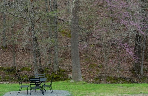 Mount Ida Hotel | Budget friendly queen studio with full kitchen, two queen beds and sleeper sofa Hotel Room