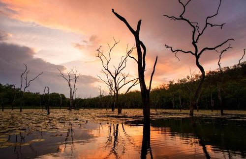 Lake Bennett House | Bungalow 32 at Lake Bennett
