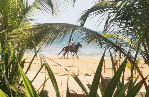 Grand-Bassam Cabin | Bungalow accés direct plage privée "Plage tropicale Chez Jack et Régine"