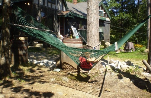 Hill Cabin | BUNK'D Cabin 1 mile from 30' Waterfall Profile Falls, tent in yard. Dogs ok