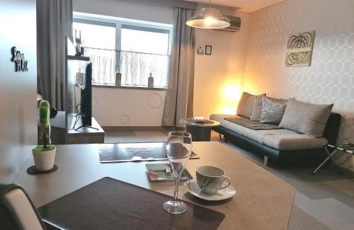 Hohenems Apartment | Business Apartments