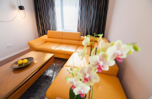 Cluj-Napoca Apartment | Business Class Apartment