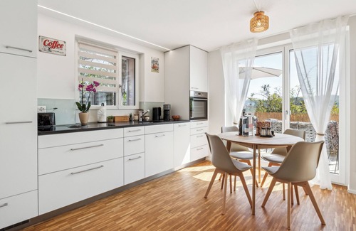 Brugg Apartment | Business I Family Apartment - Aare view, near old town I Terrace + parking lot