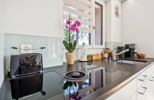 Brugg Apartment | Business I Family Apartment - Aare view, near old town I Terrace + parking lot