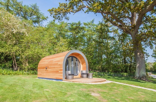 Pickering Cabin | Buttercup Pod - sleeps 2 | Gold Award winning