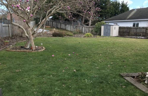 McKinleyville House | Butterfly Cove/5 minutes to Beaches and Redwoods