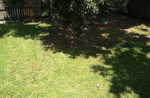 Gentilly Terrace Apartment | Buttermilk Drop in Gentilly