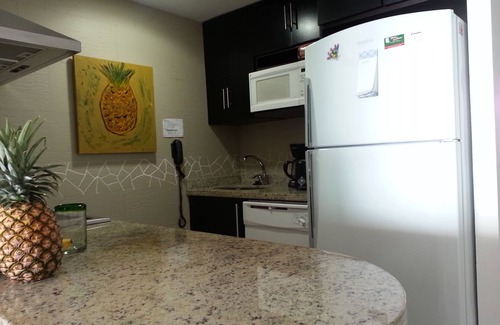 Ixtapa Condo | BVG Direct Oceanfront 5 Star! Sunsets! Inquire about Jan, Feb, Mar month stays.