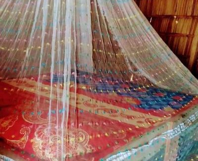 Raja Ampat House | byuk Beya homestay