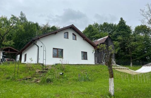 Viseu de Sus House | Căsuța bunicii