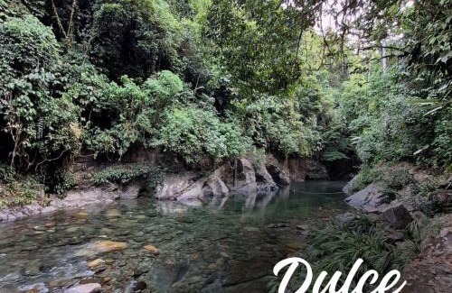 El Carmen de Viboral House | Cañón Dulce Melcocho