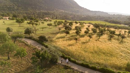 Binibona Hotel | Ca'n Beneït