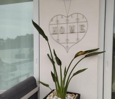 Portocolom House | Ca Na Xisca